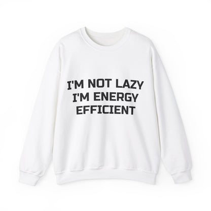 I’m Not Lazy, I’m Energy Efficient Jumper